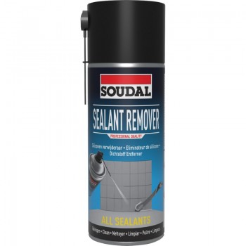 SALENT REMOVER 6/400ML REF119709