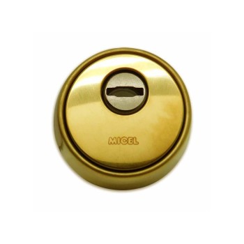 ESCUDO SEGURIDAD ES01 63MM LATON SATINAD