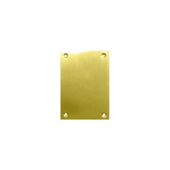 2 UDS PLACA CIEGA PLP01 100X70MM INOX